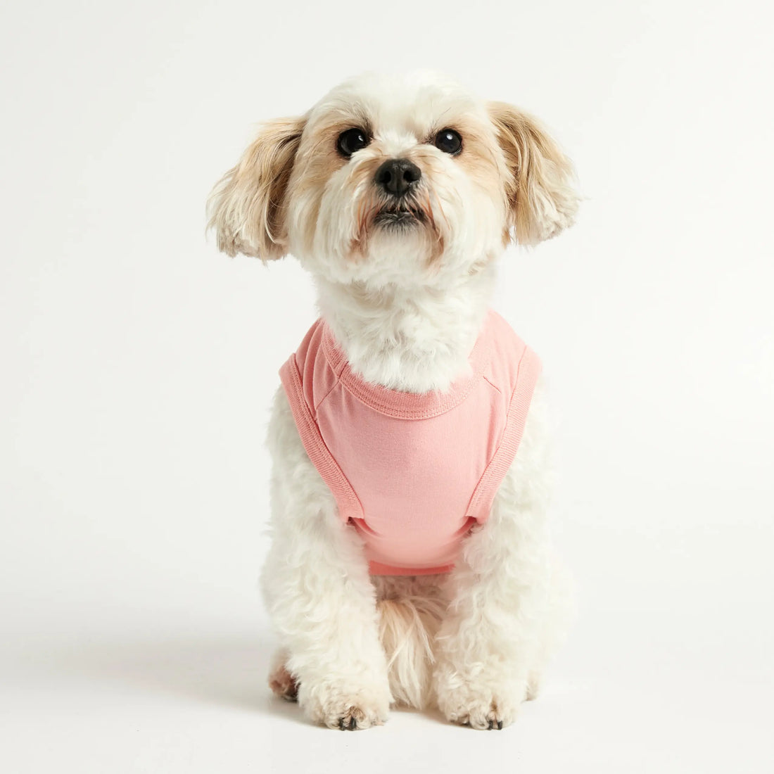 Imi Bodysuit // Dog sweater in organic cotton (pink)