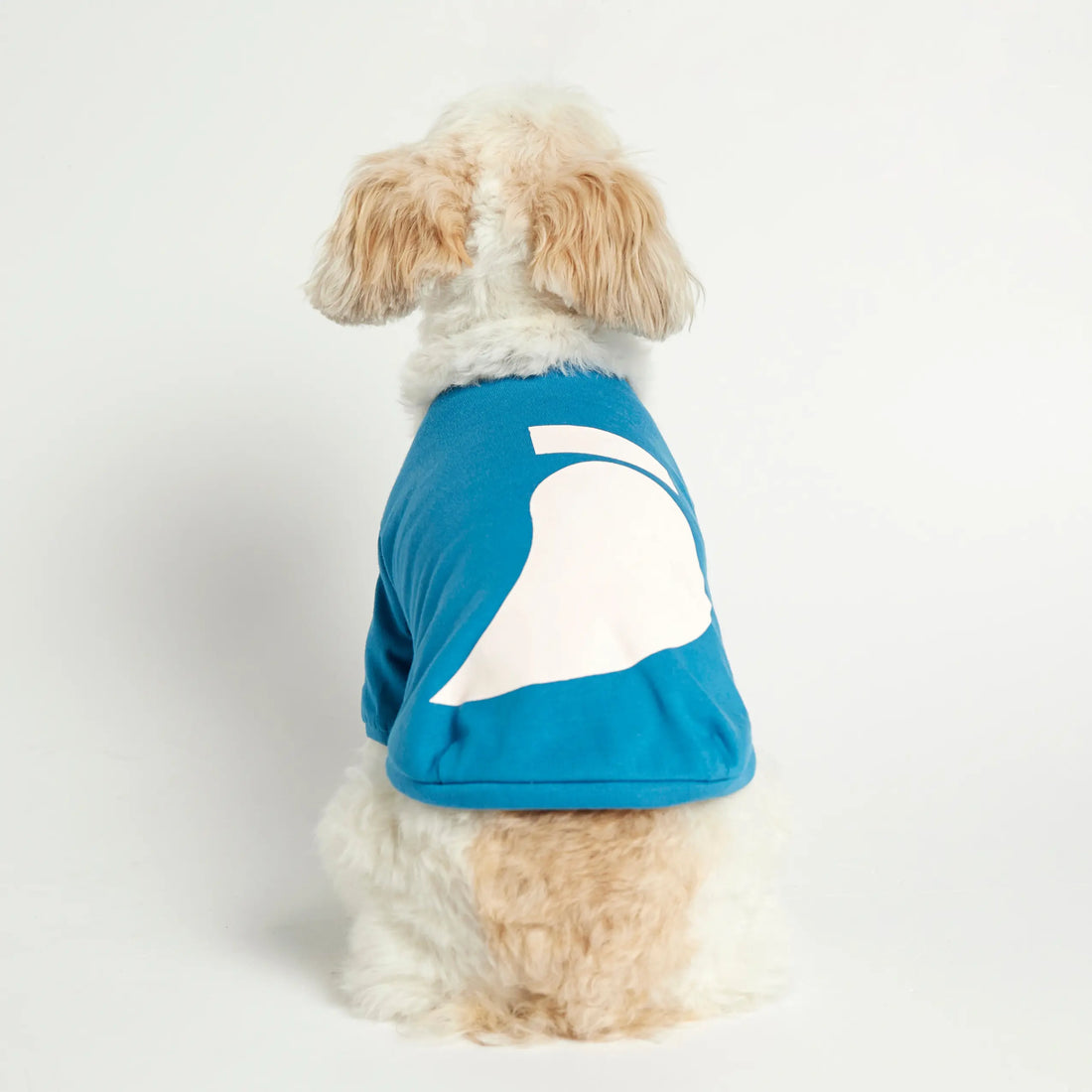 Imi T-shirt // Dog shirt with sleeves in organic cotton (blue)