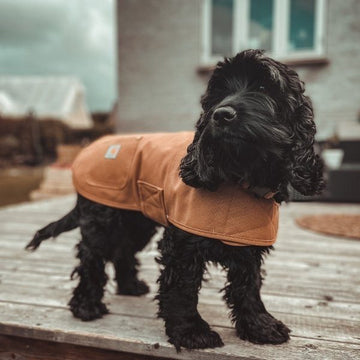 Carhartt Coat // Water-repellent dog coat (brown)