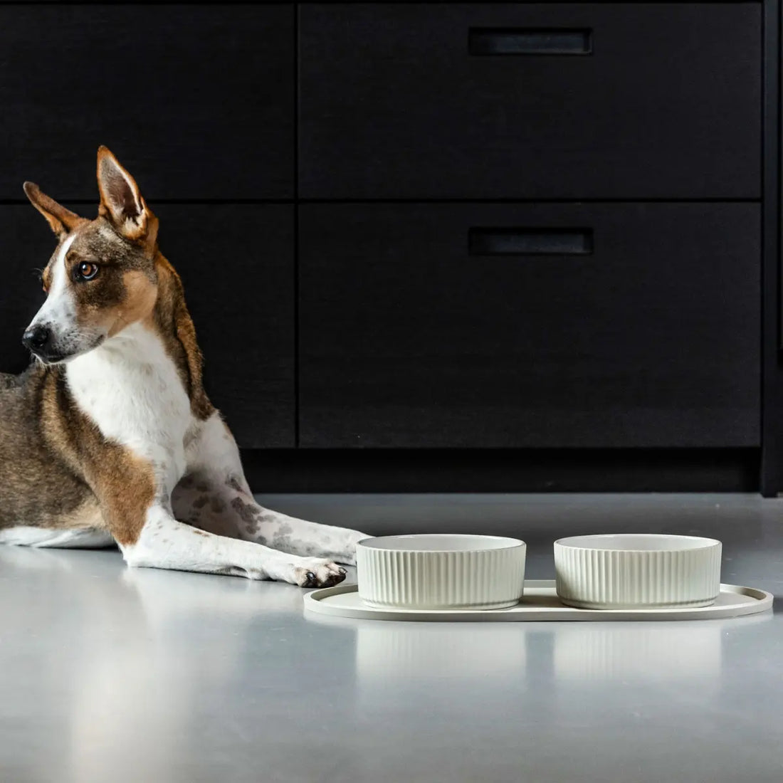 Dog Copenhagen Kronborg // Ceramic dog bowl (white)