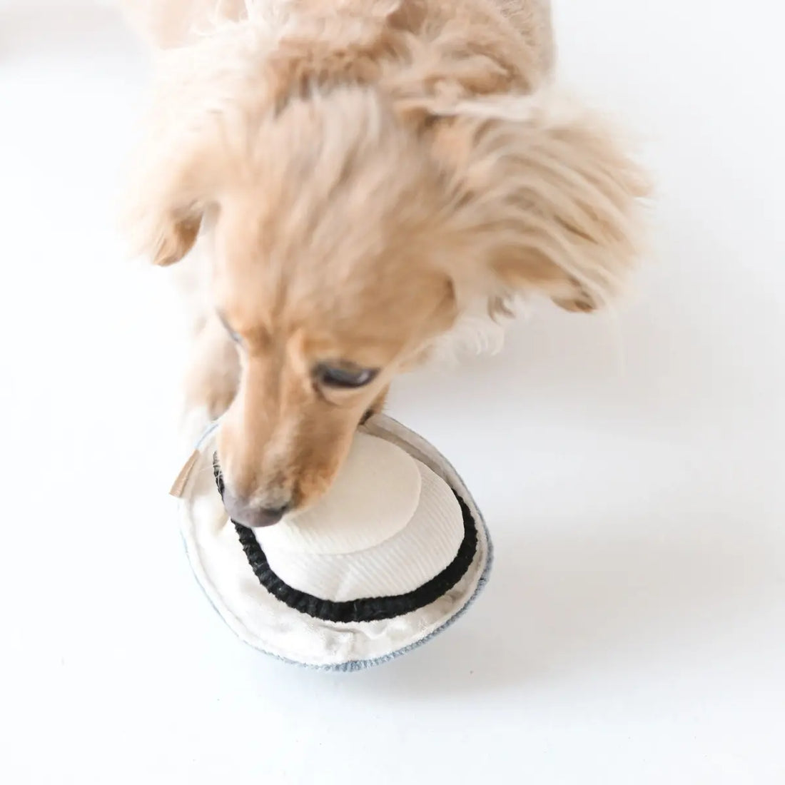 Lambwolf Gillardeau // Activity toy with space for treats