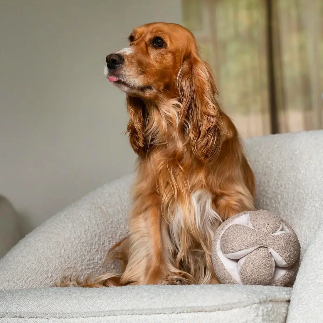 Lambwolf Monti // Activity ball with space for treats