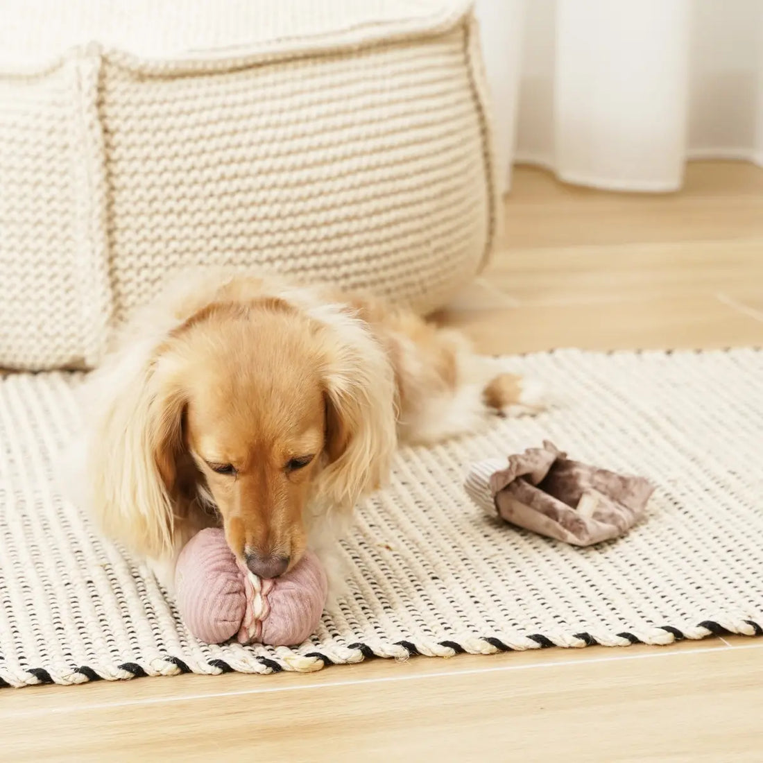 Lambwolf Petite Two // Activity toy with space for treats