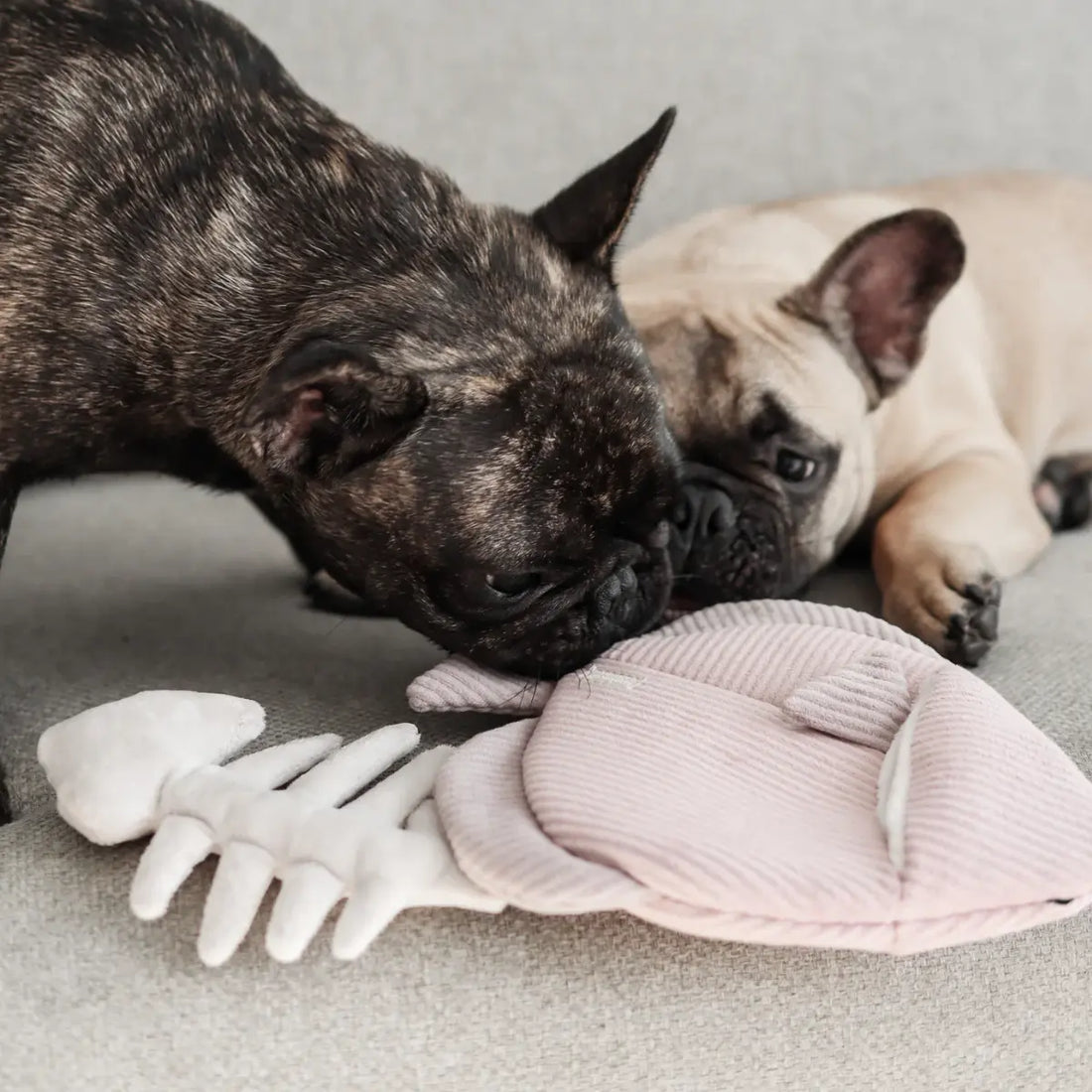 Lambwolf Angel Fish / Activity toy with space for treats