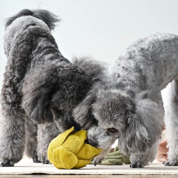 Lambwolf Artichoke // Activity toy with pockets for treats