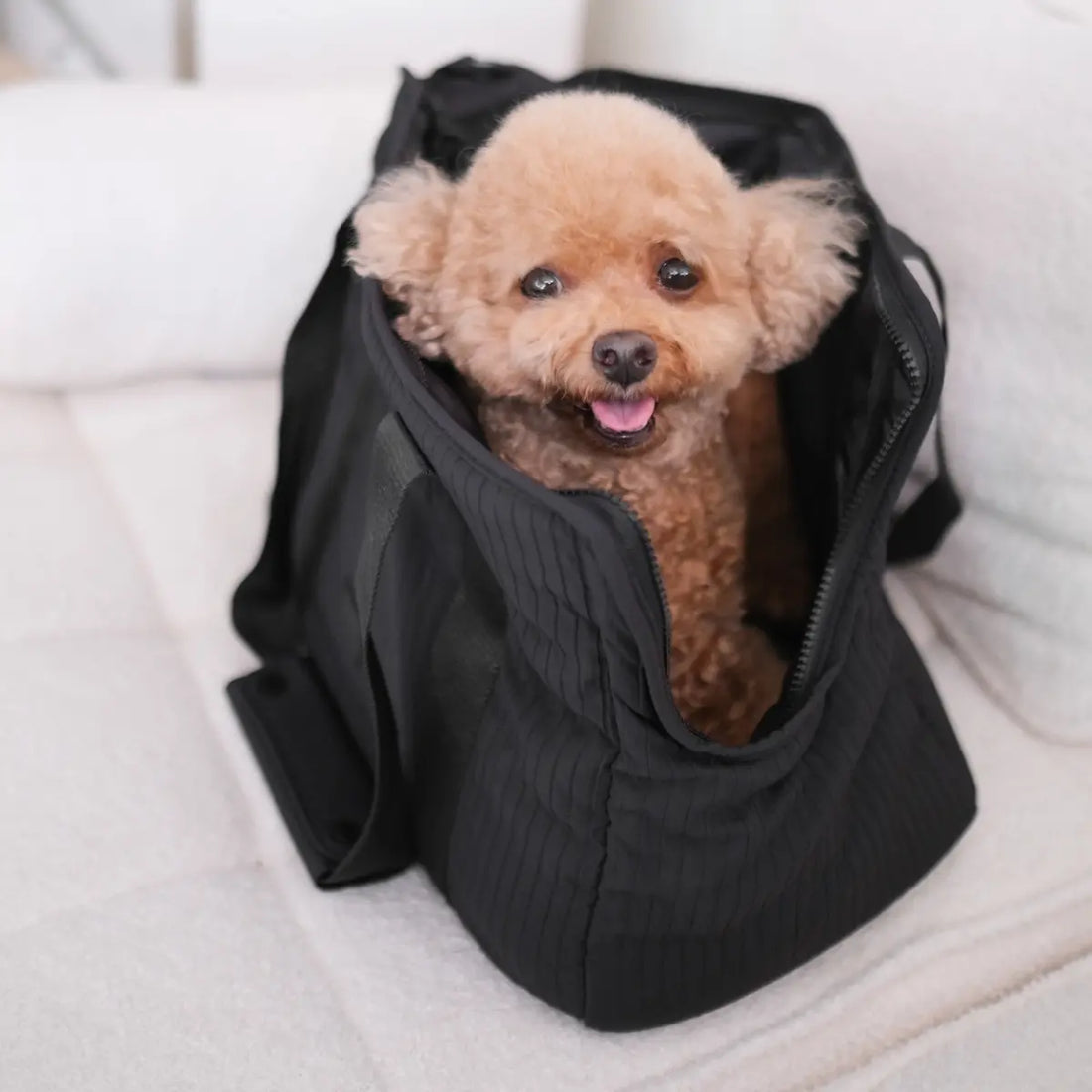 Lambwolf City // Dog bag with breathable closure (black)