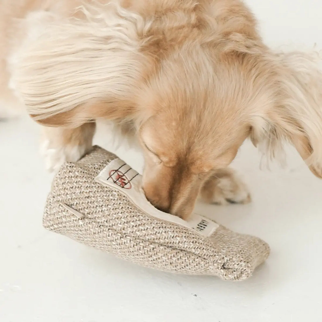 Lambwolf Coffee Bean // Removable activity toy with 'beep'