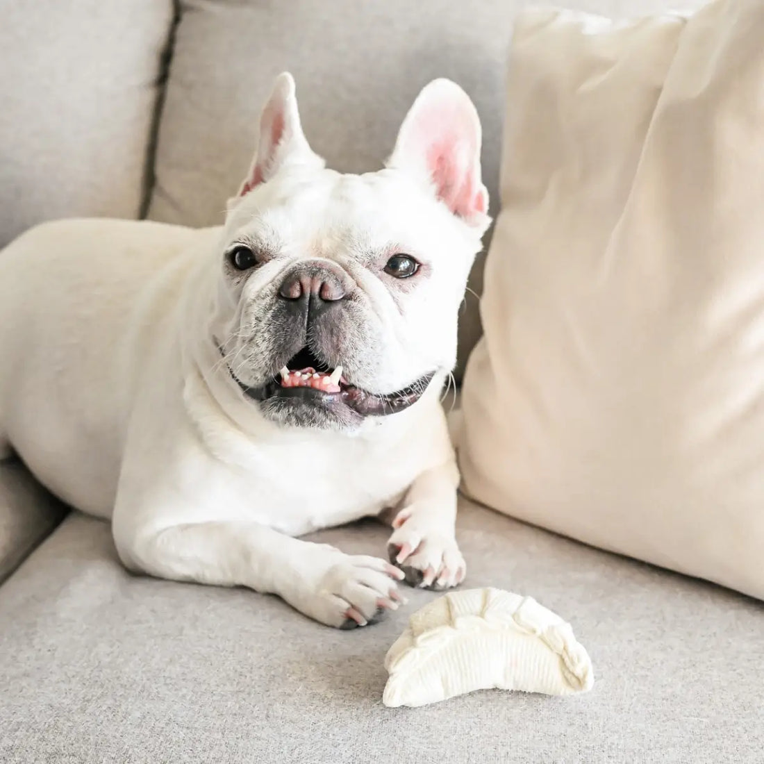 Lambwolf Dim Sum // Activity toy with squeaker and space for treats