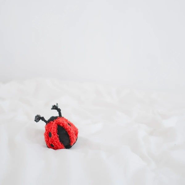 Lambwolf Lady Bug // Activity toy with 'squeak'