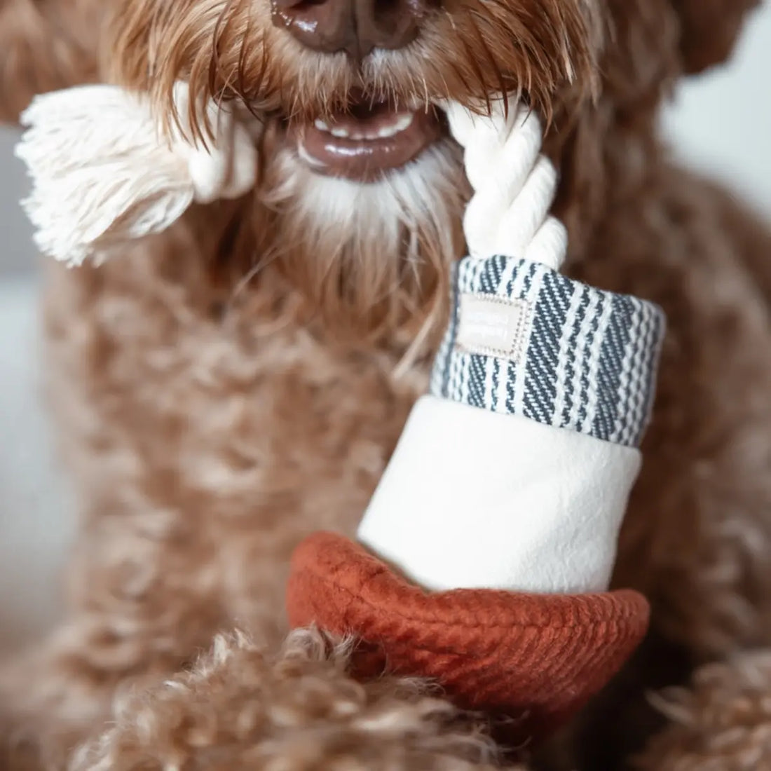 Lambwolf Rocket // New Year's toy with balls and rope