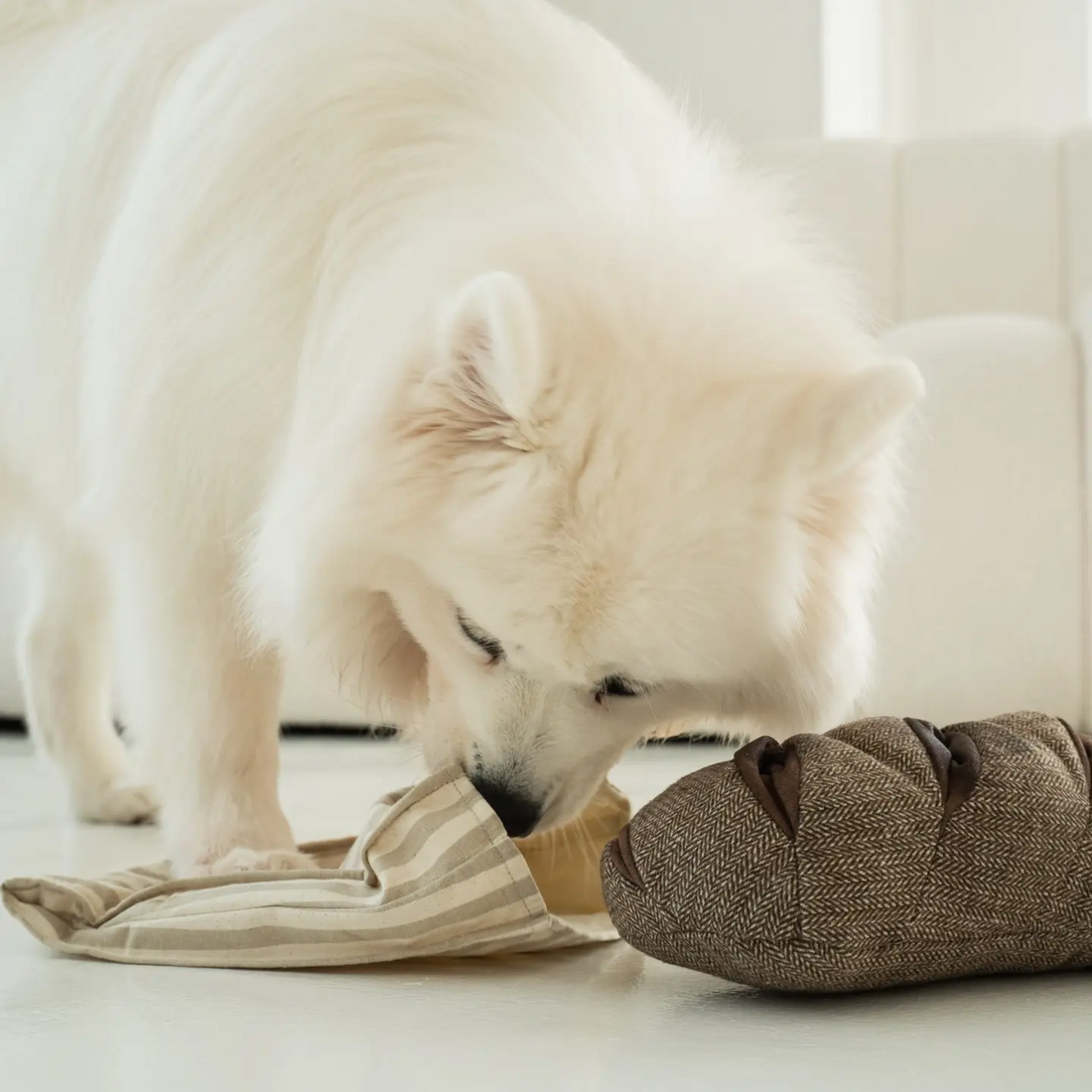 Lambwolf Ryebread // Activity toy with pockets and squeaker