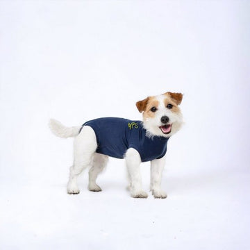 Medical Pet Shirt // Beskyttende heldragt til hunde (blå)