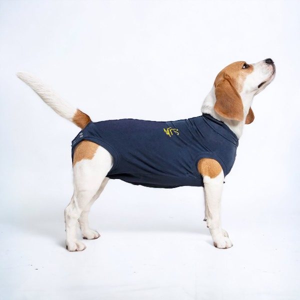 Medical Pet Shirt // Protective overall for dogs (blue)