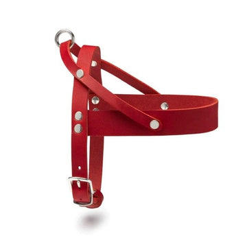 Butter Red // Classic dog harness in soft leather (red)