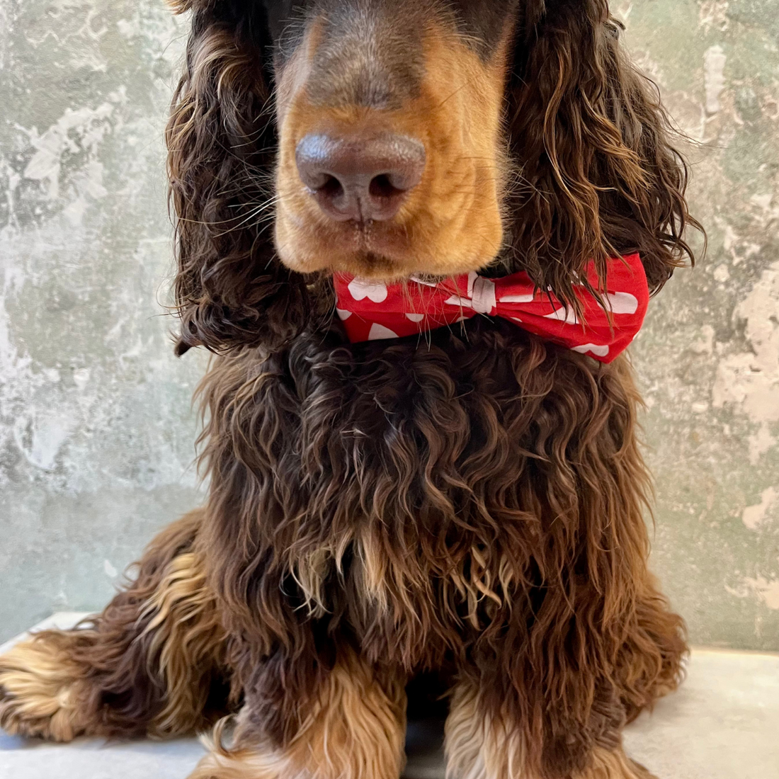 Classic Bourbon // Dog bow tie in classic checks (green) (Kopier)
