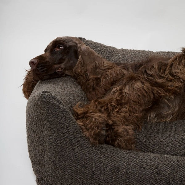 Nordog Billy // Bouclé dog bed with memory foam (chocolate)