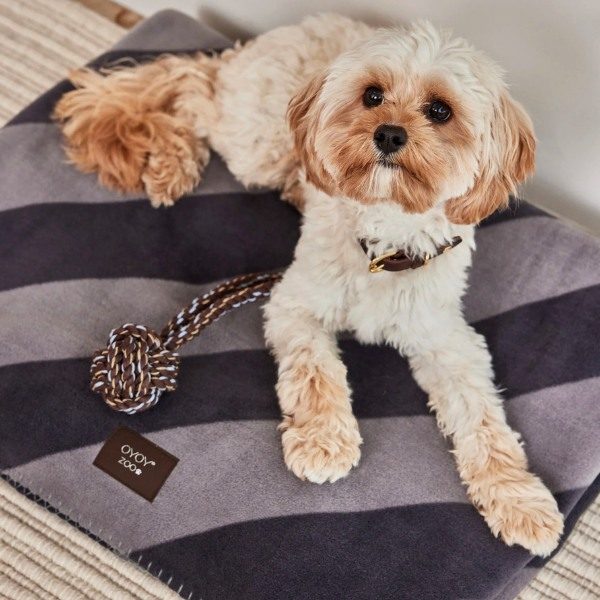 OYOY Kaya // Soft fleece dog blanket (black/grey)