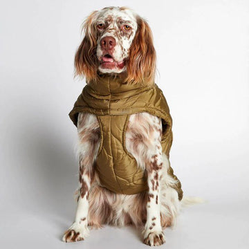 The Painters Wife // Puffer / dog jacket (khaki green)