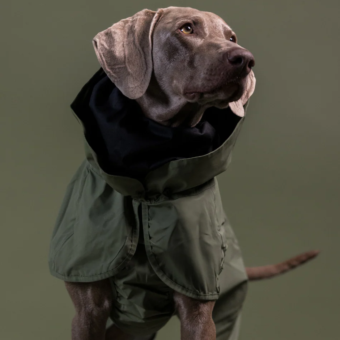Paikka Rain // Waterproof rain jacket with reflectors (green)