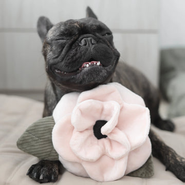 Lambwolf Poppy // Dog toy with 'squeak' and room for treats