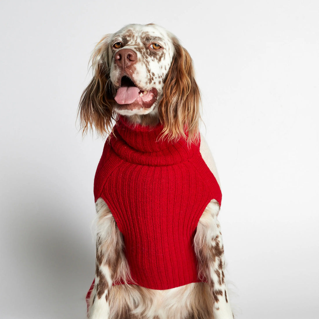 Rene Sweater // Dog sweater with harness access (red) small
