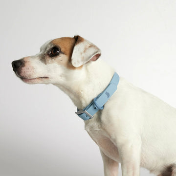 Rose W. Collar // Slidstærkt hundehalsbånd (blå)