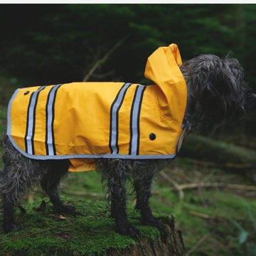 Sötnos Sunshine Raincoat // Raincoat that doesn't go over the head