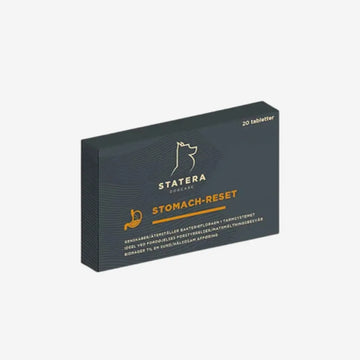 Statera Stomach-Reset // Tilskud som genskaber bakteriefloraen