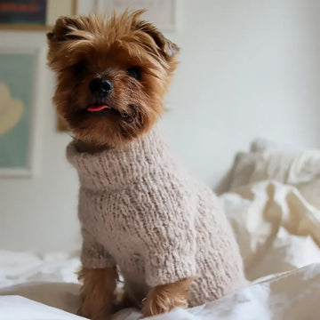 Wear Fifi Knit-Kit // Knit-your-own Fluffy Dog Sweater (burnt orange) (Kopier) (Kopier) (Kopier)