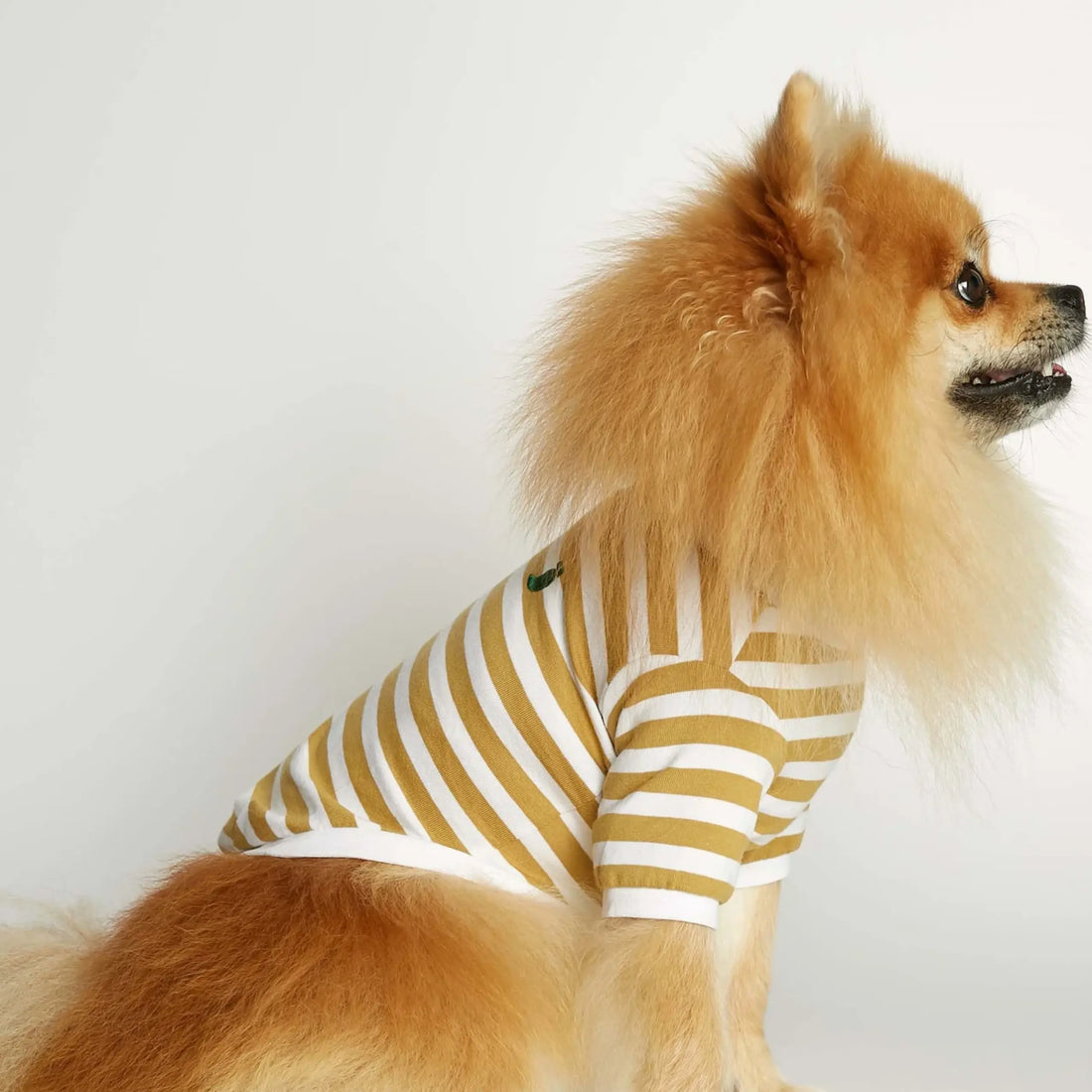 David T-shirt // Dog shirt with sleeves in organic cotton (dijon)