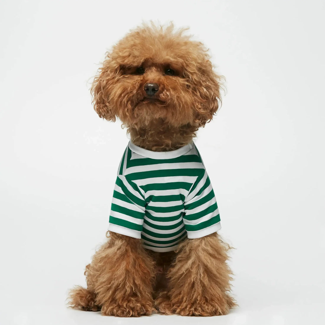 David T-shirt // Dog shirt with sleeves in organic cotton (green)
