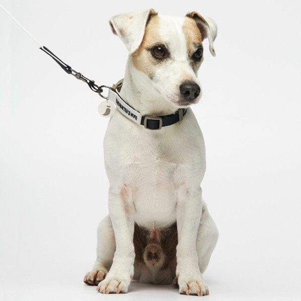 Sonia Navy/White // Lightweight dog leash in three sizes