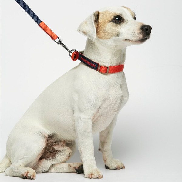 Sonia Vermilion // Lightweight leash in three sizes