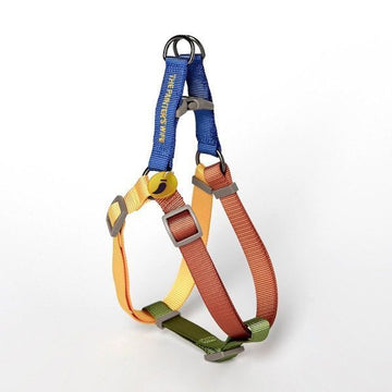 Sonia Mimosa // Colorful step-in dog harness