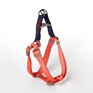 Sonia Vermilion // Colorful step-in dog harness