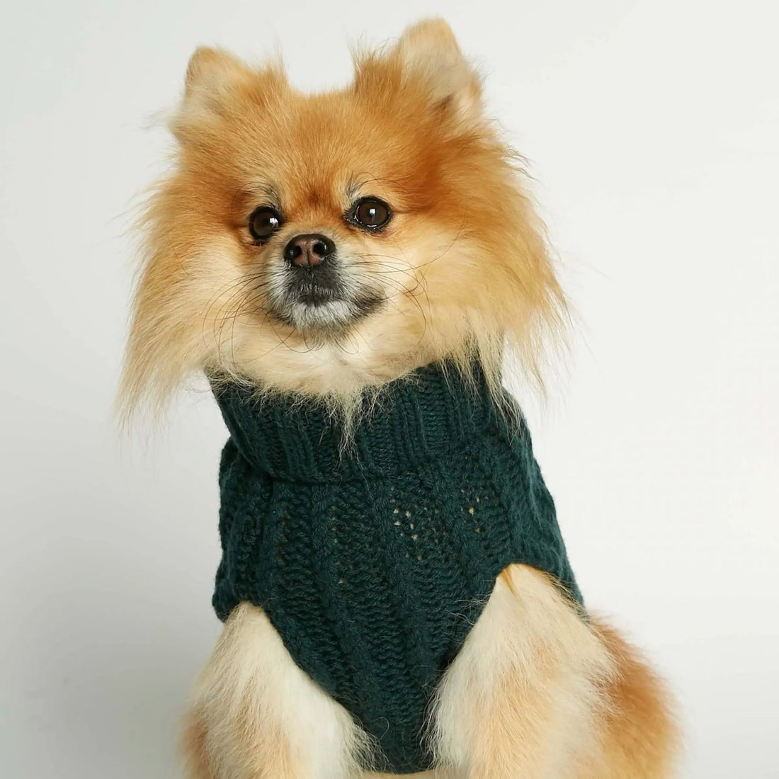 The Painter's Wife // Merino wool dog sweater (XL) (Kopier)