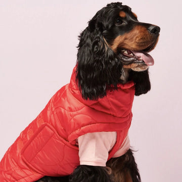 The Painters Wife // Puffer / dog jacket (khaki green) (Kopier)