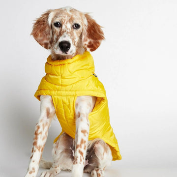 The Painters Wife // Puffer / dog jacket (khaki green) (Kopier) (Kopier)