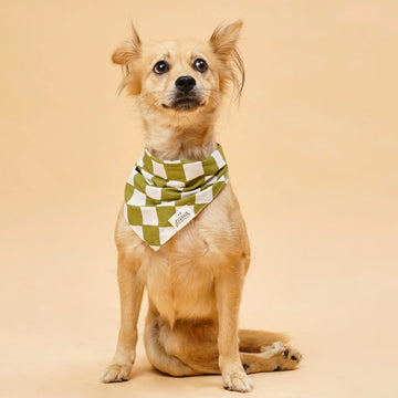Classic Checkmate // Dog bandana in classic checks (green-white)