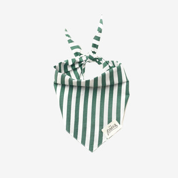 Crew // Dog bandana with stripes (green-white)