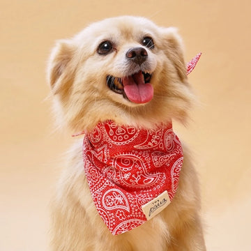 Paisley Rodeo // Paisley Dog Bandana (red)
