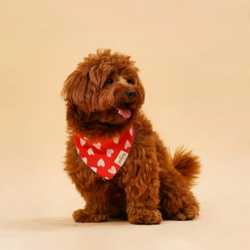 Petal // Dog bandana with flowers in pastel colors (Kopier)