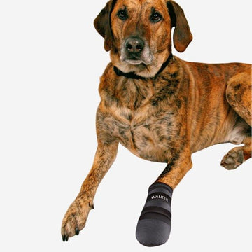 Outdoor dog shoes // Water-resistant shoes for dogs (2 pcs)