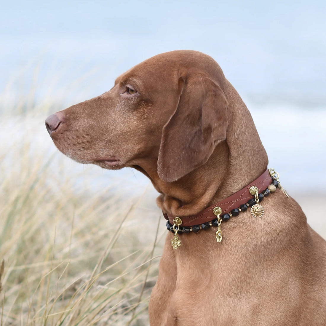 Unleash Cph Courage Charm - The Lion // Vedhæng til hundehalsbånd