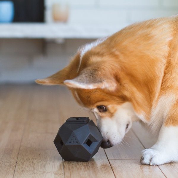 Up dog The Odin // Activity ball for treats (black)