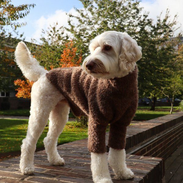 WEAR FIFI Teddy Sweater // Hand-knitted wool bouclé sweater (brown)