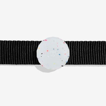 Zee.dog Jelly // Airtag holder for collar and harness