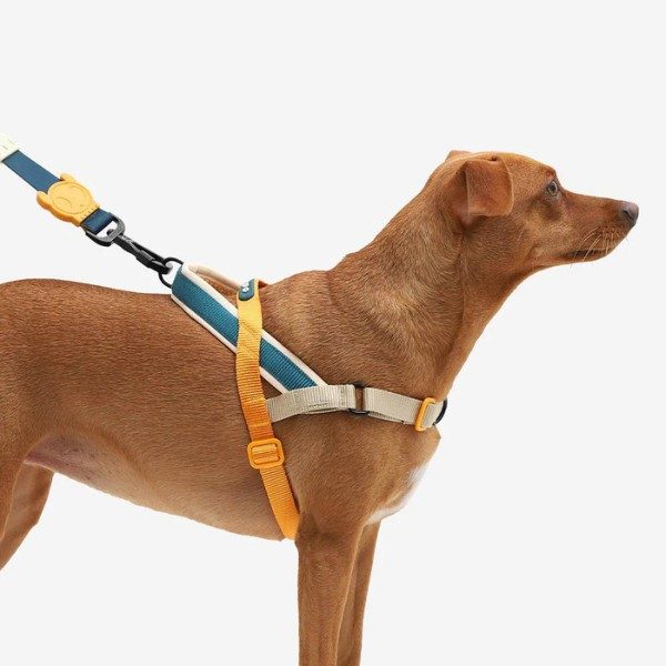 Zee.dog Gotham // No-pull Harness (black) (Kopier) (Kopier)