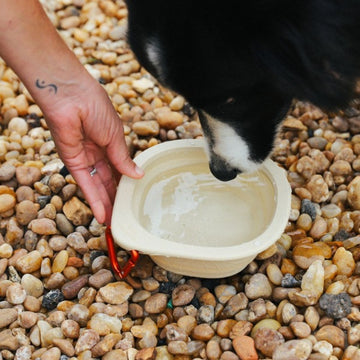 Zee.dog Go bowl // Foldable silicone dog bowl (beige)
