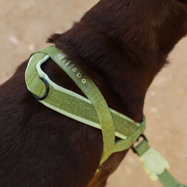 Zee.dog Moss // Anti-pull harness for dogs (light green)